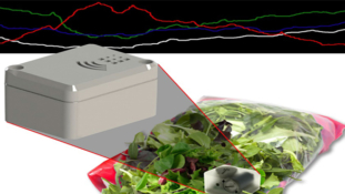 Real time environmental data collection from inside a food pack right across the distribution chain