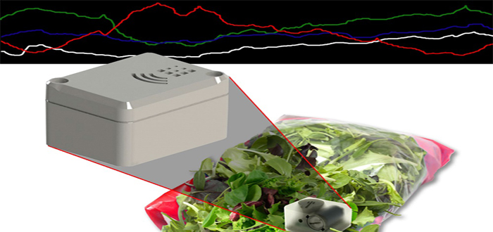 Real time environmental data collection from inside a food pack right across the distribution chain