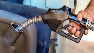 Diesel crisis: don’t be a fool with fuel