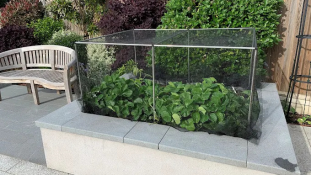 Ecommerce retailer Gardening Naturally boosts order fulfilment efficiency by 3,500% and triples revenue since using Forterro’s Orderwise