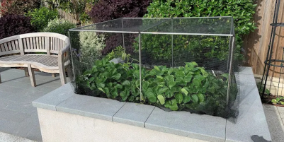 Ecommerce retailer Gardening Naturally boosts order fulfilment efficiency by 3,500% and triples revenue since using Forterro’s Orderwise